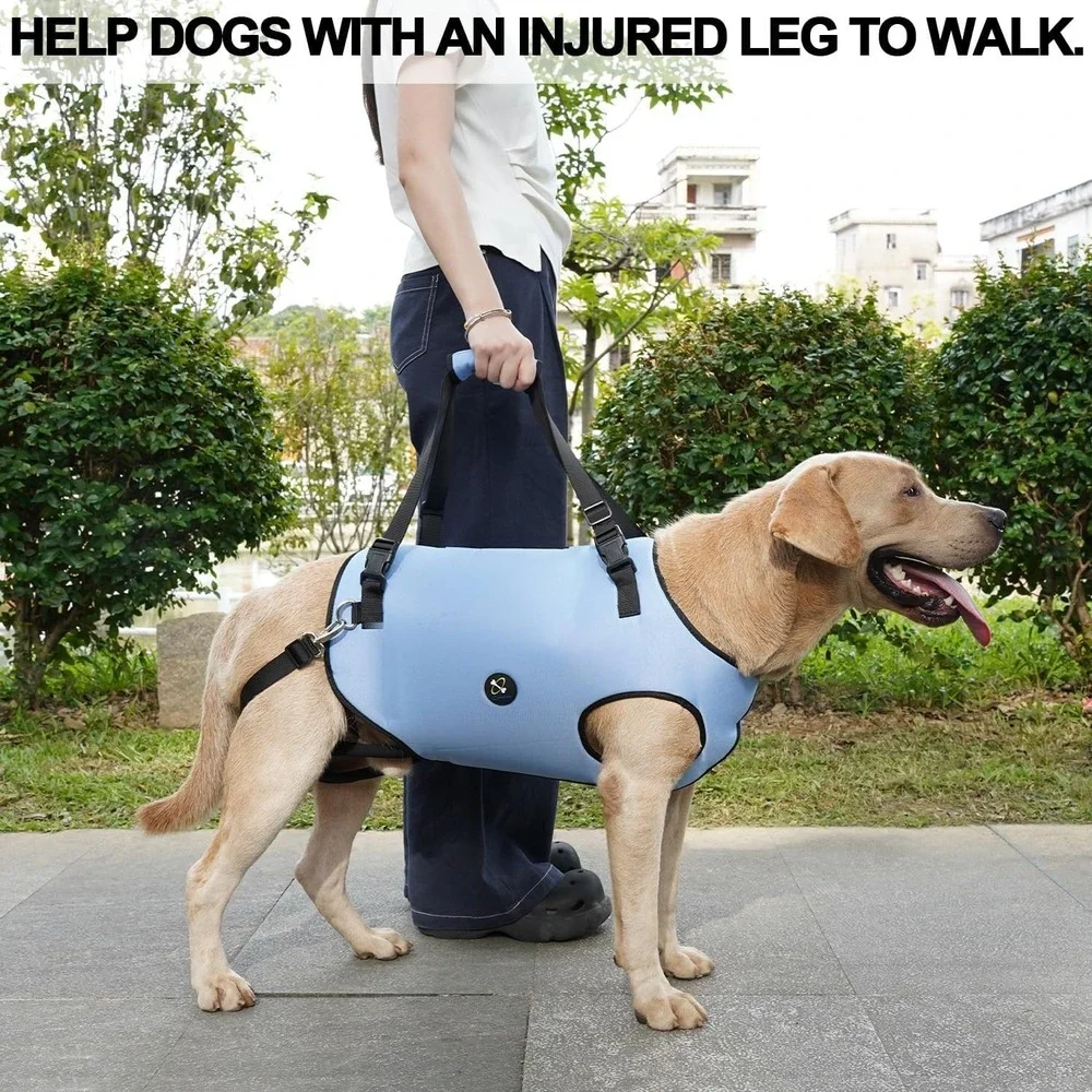 Coodeo Pet Support Harness Small Blue‎ Lift Sling for Weak or Disabled Dogs